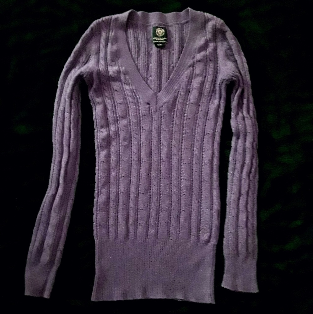 American Eagle Form Fitting Sweater
